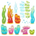 Set Marine life. Vector isolated elements. Royalty Free Stock Photo